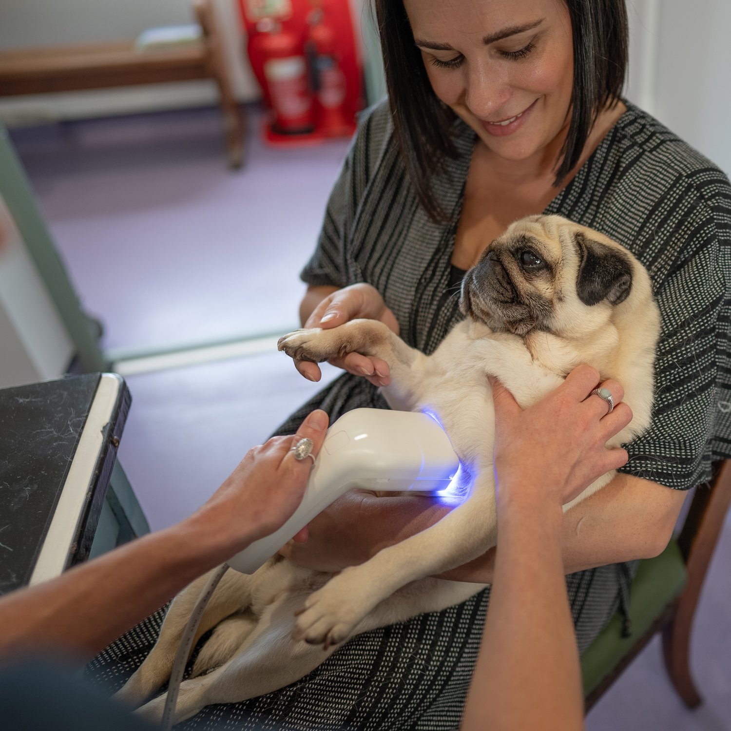 HT Vista saved our Dog’s life
